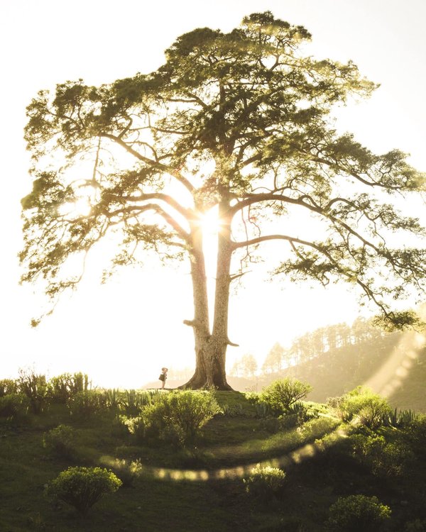 les joueurs emblématiques de la Premier League
